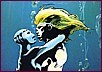 Aquablue