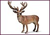 Forest Animals