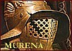 Murena
