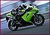 Race Motoren