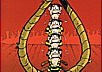 Lucky Luke, L.Comics