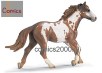 Palomino Hengst