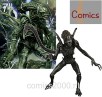Alien vs Predator