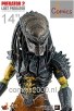 Lost Predator