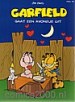Garfield 054