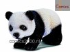 Baby Panda