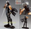 Ninja Gaiden