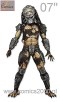 BOAR PREDATOR