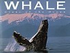 Whale