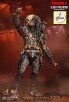 Elder Predator