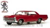 Pontia GTO