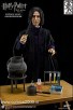 Severus Snape 12
