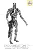 T-800 