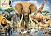 Wild Life