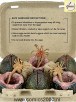 Xenomorph Egg Set