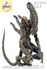 Xenomorph Warrior